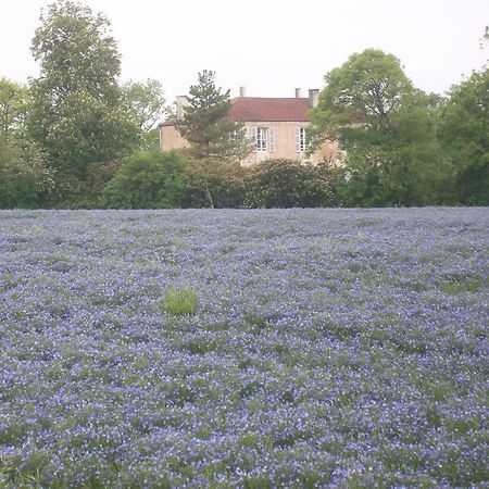 Bed and Breakfast Manoir Angle Blanzay-sur-Boutonne Zewnętrze zdjęcie