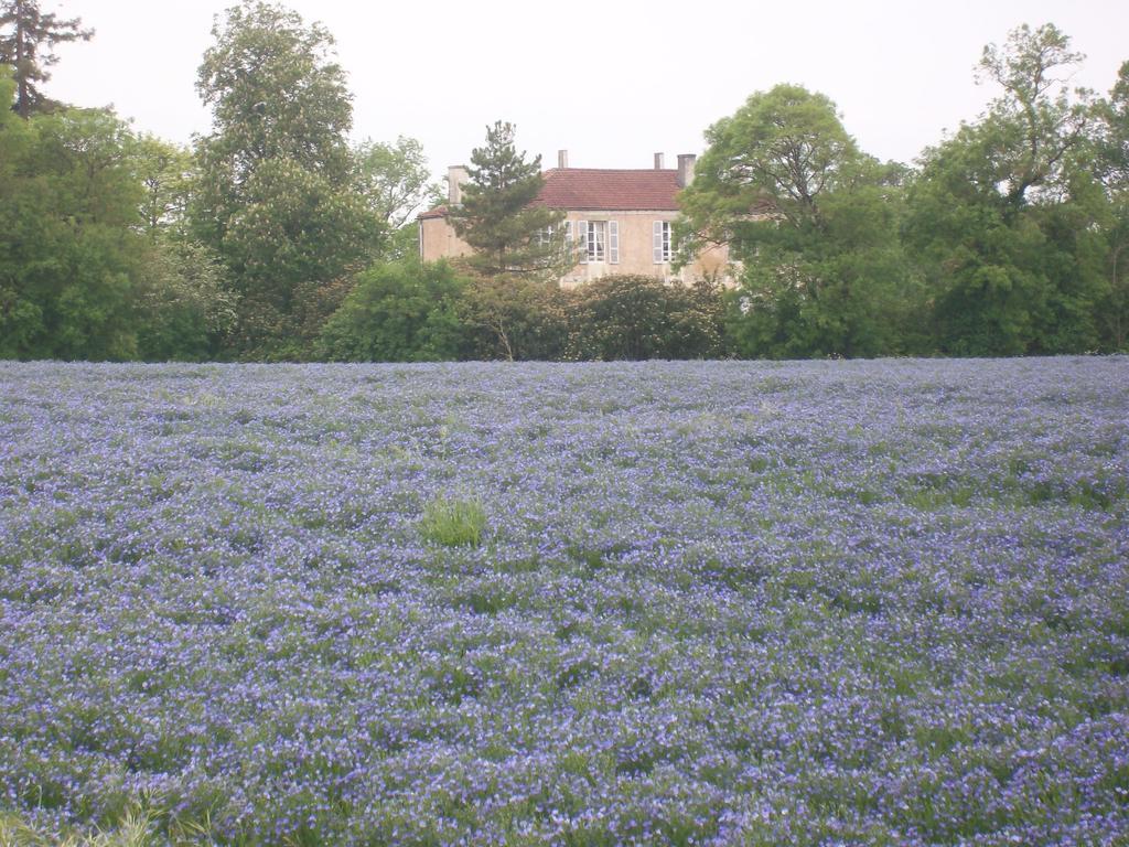 Bed and Breakfast Manoir Angle Blanzay-sur-Boutonne Zewnętrze zdjęcie